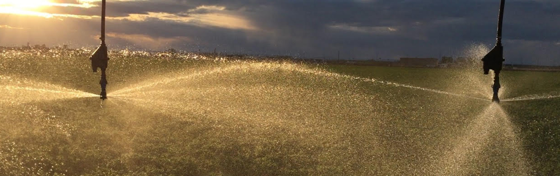 slide1 EZ Flush Filters