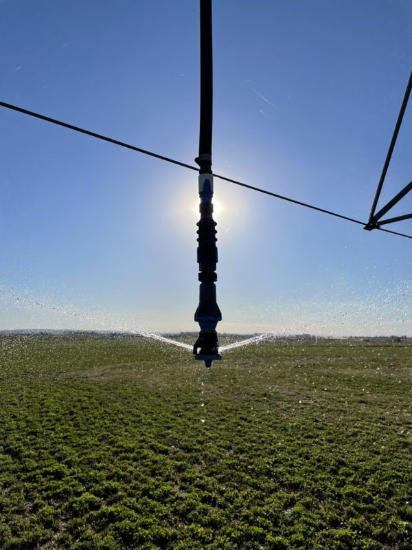 EZ FLUSH MINI FILTER EZ Flush Filters