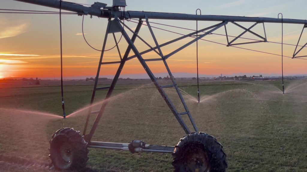 EZ FLUSH MINI FILTER EZ Flush Filters