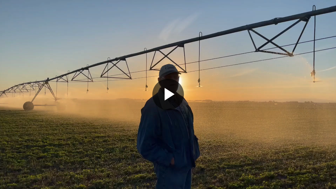 peace EZ Flush Filters